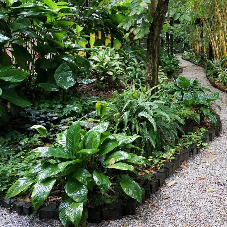 Jacana Amazon Wellness Resort Paramaribo Exteriér fotografie