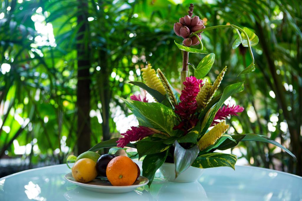 Jacana Amazon Wellness Resort Paramaribo Exteriér fotografie