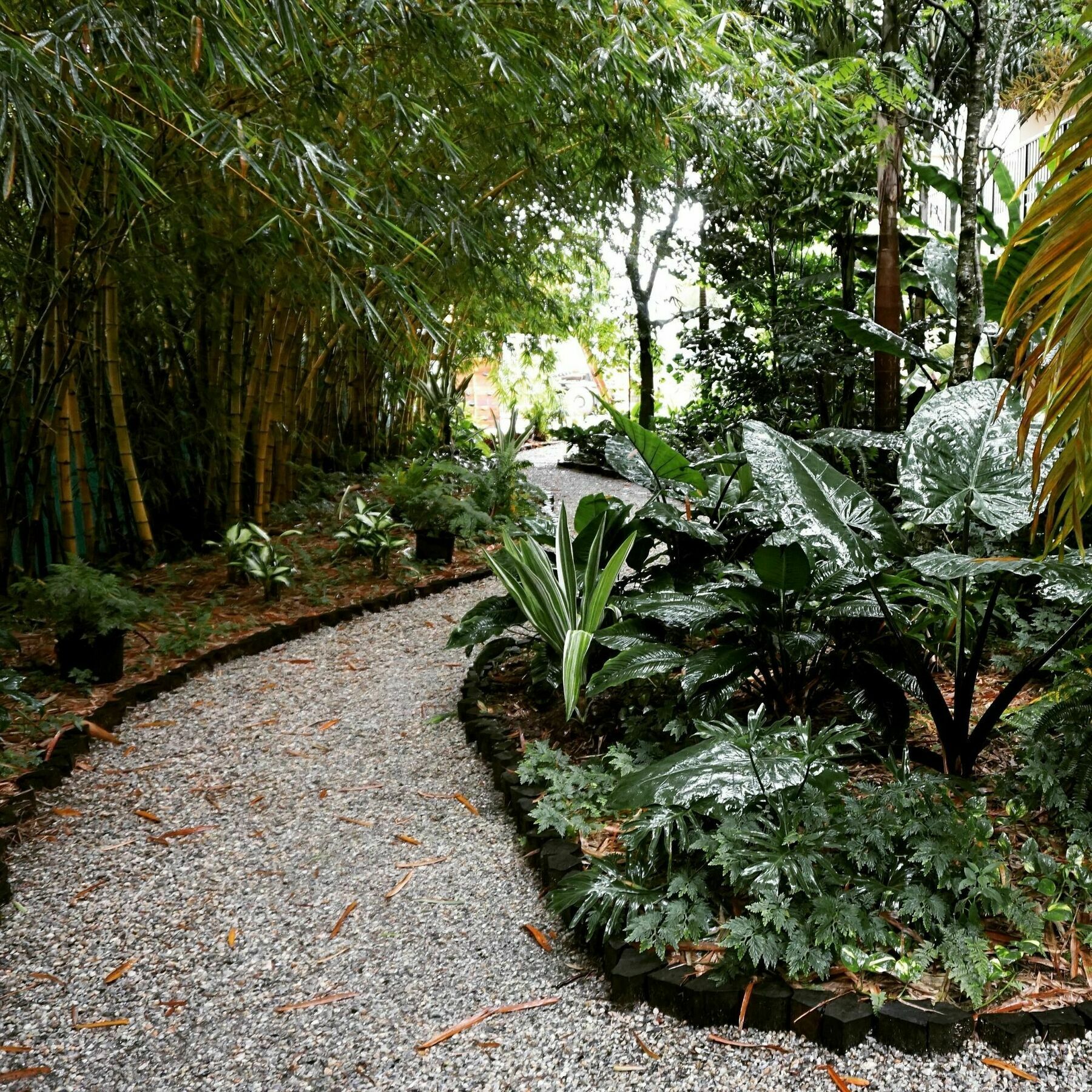 Jacana Amazon Wellness Resort Paramaribo Exteriér fotografie